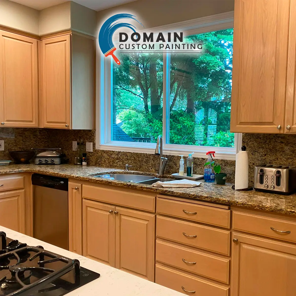 Domain Custom Painting